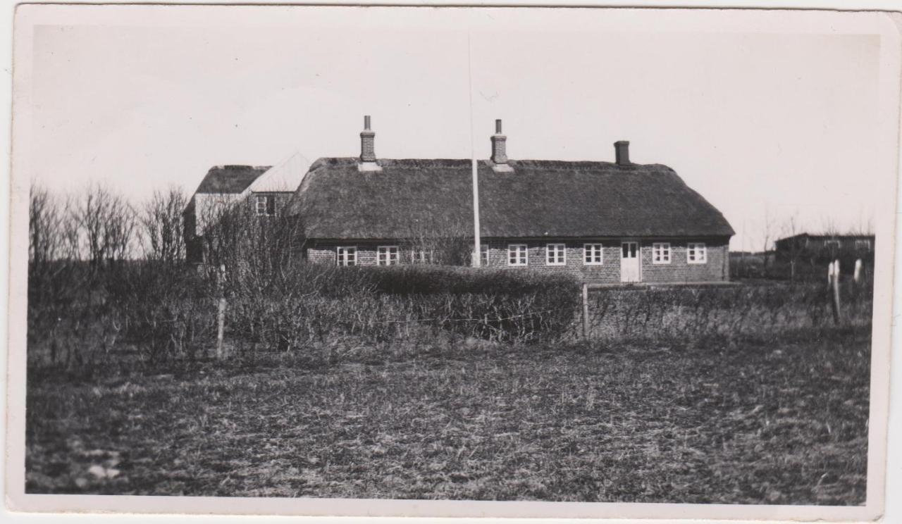Lilleledgaard frilands hus Villa Ringkøbing Eksteriør billede